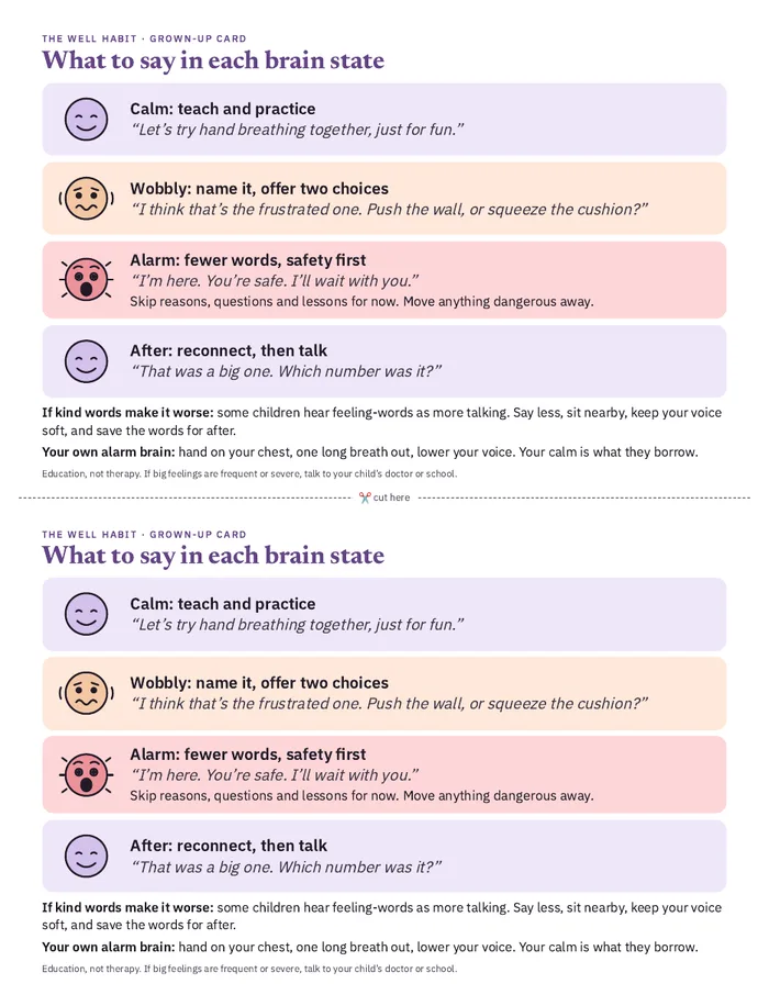 Grown-up script cards with what to say in calm, wobbly and alarm brain